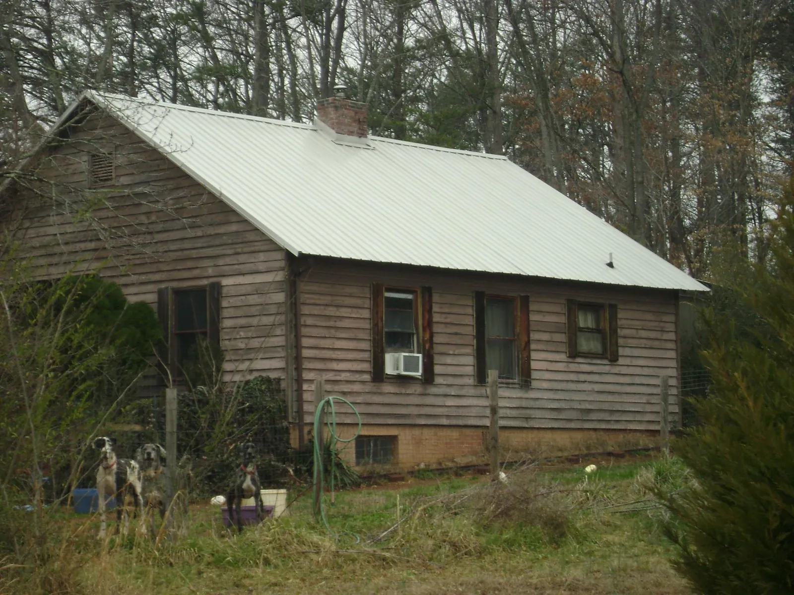 White metal roof on an old wood sided farmhouse, from a Asphalt Shingle Roof Repair job in Leonard